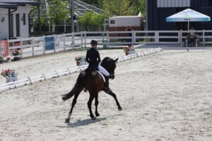 img_6750