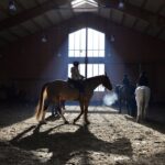 DSC 4513 -