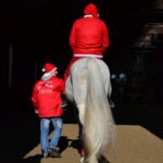 DSC 4599 -