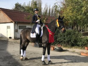 campion national dresaj 2 -