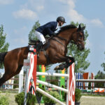 DSC 4106 -