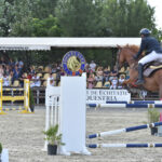 DSC 4165 -