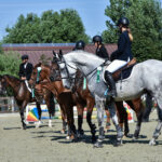 DSC 4654 -